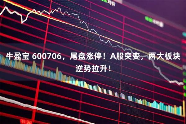牛盈宝 600706，尾盘涨停！A股突变，两大板块逆势拉升！