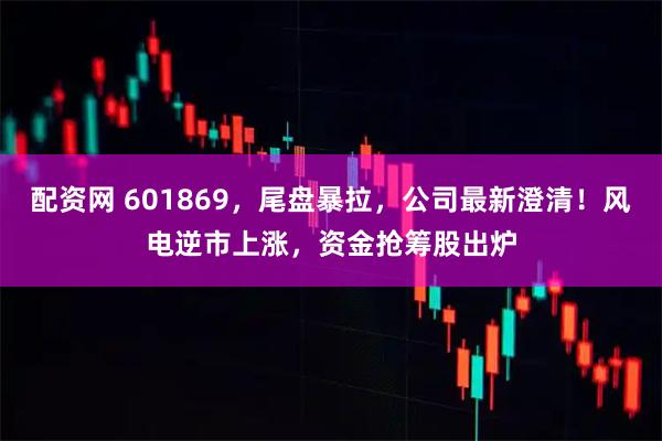 配资网 601869，尾盘暴拉，公司最新澄清！风电逆市上涨，资金抢筹股出炉