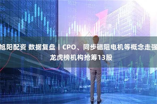 旭阳配资 数据复盘丨CPO、同步磁阻电机等概念走强   龙虎榜机构抢筹13股
