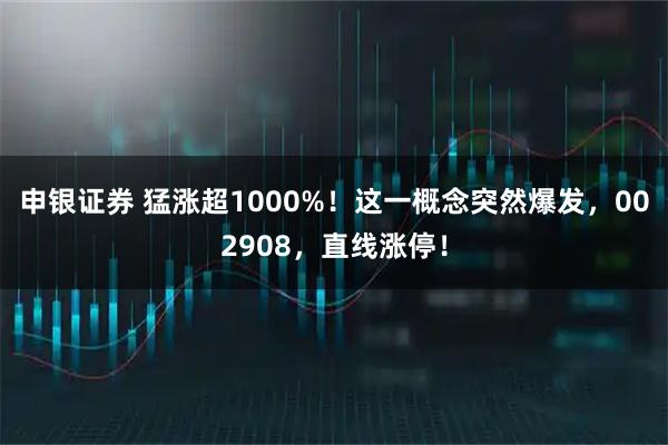申银证券 猛涨超1000%！这一概念突然爆发，002908，直线涨停！