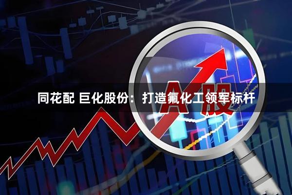 同花配 巨化股份：打造氟化工领军标杆